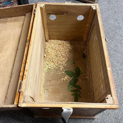 Vintage Wooden Rabbit Carry Box Artwork Airholes Hinged Clasps