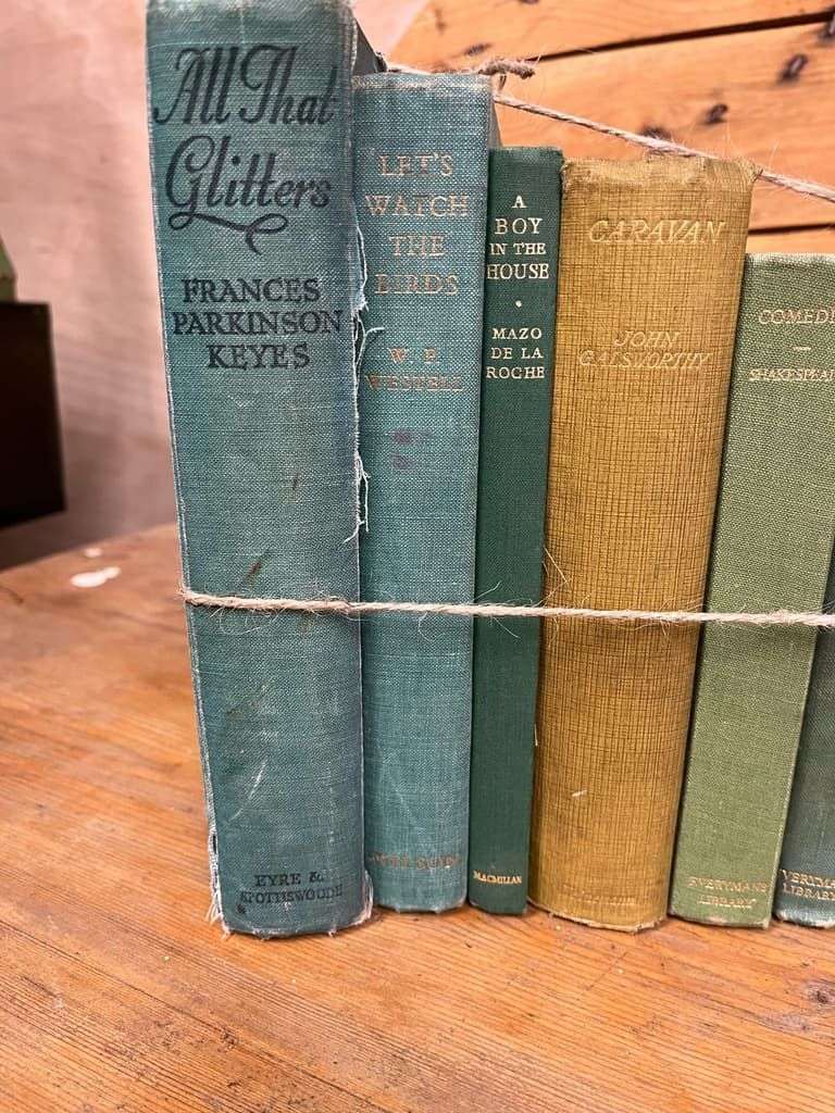9 Vintage Books Green Shades Covers For Display &amp; Reading Retail Hospitality