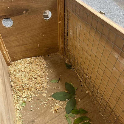 Vintage Wooden Rabbit Carry Box Artwork Airholes Hinged Clasps