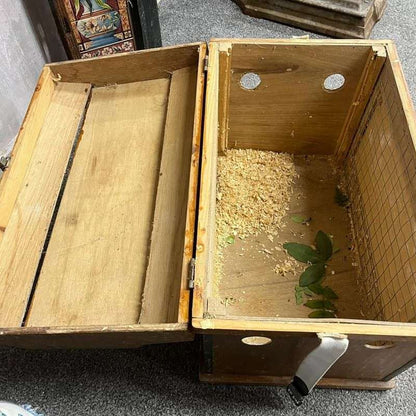 Vintage Wooden Rabbit Carry Box Artwork Airholes Hinged Clasps