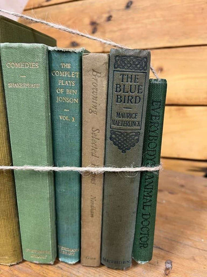 9 Vintage Books Green Shades Covers For Display &amp; Reading Retail Hospitality