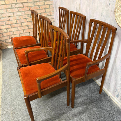 6x Meredew Mid Century Teak Dining Chairs Upholstered Seats 2x Carvers 4x Chairs