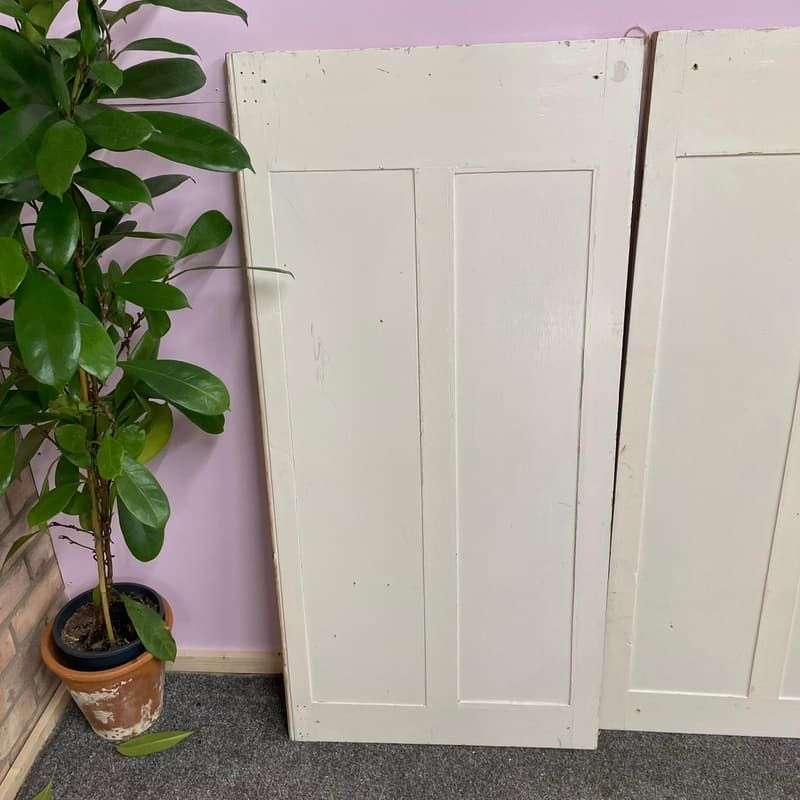 Vintage Pair Painted Wooden Doors Panels Wall Hanging Hospitality Retail