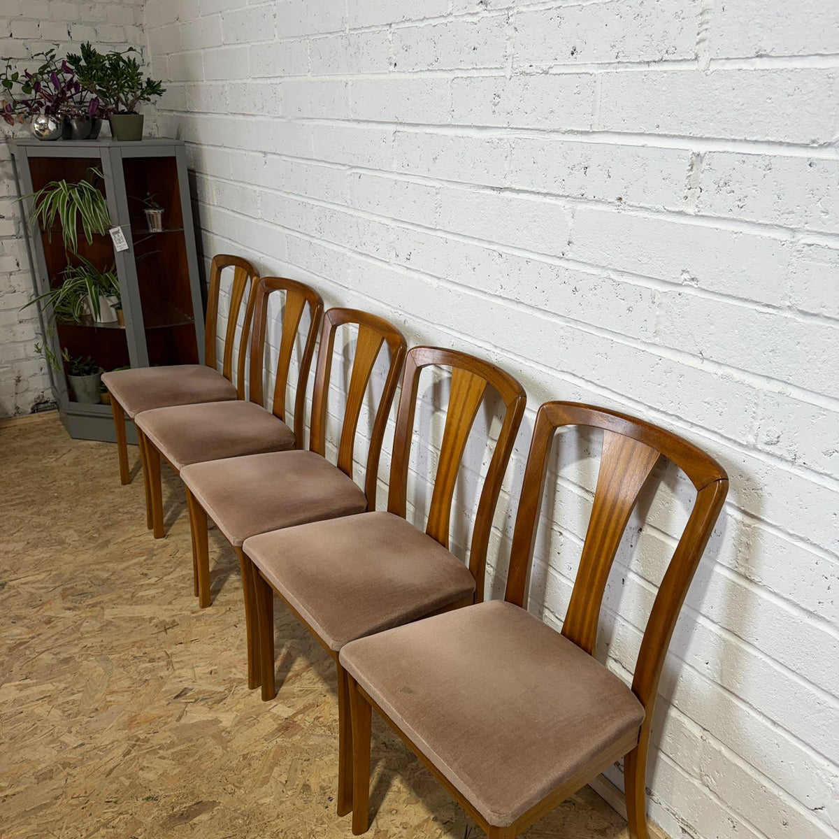 5 Meredew Mid Century Teak Dining Chairs Upholstered Velour Salmon Seats