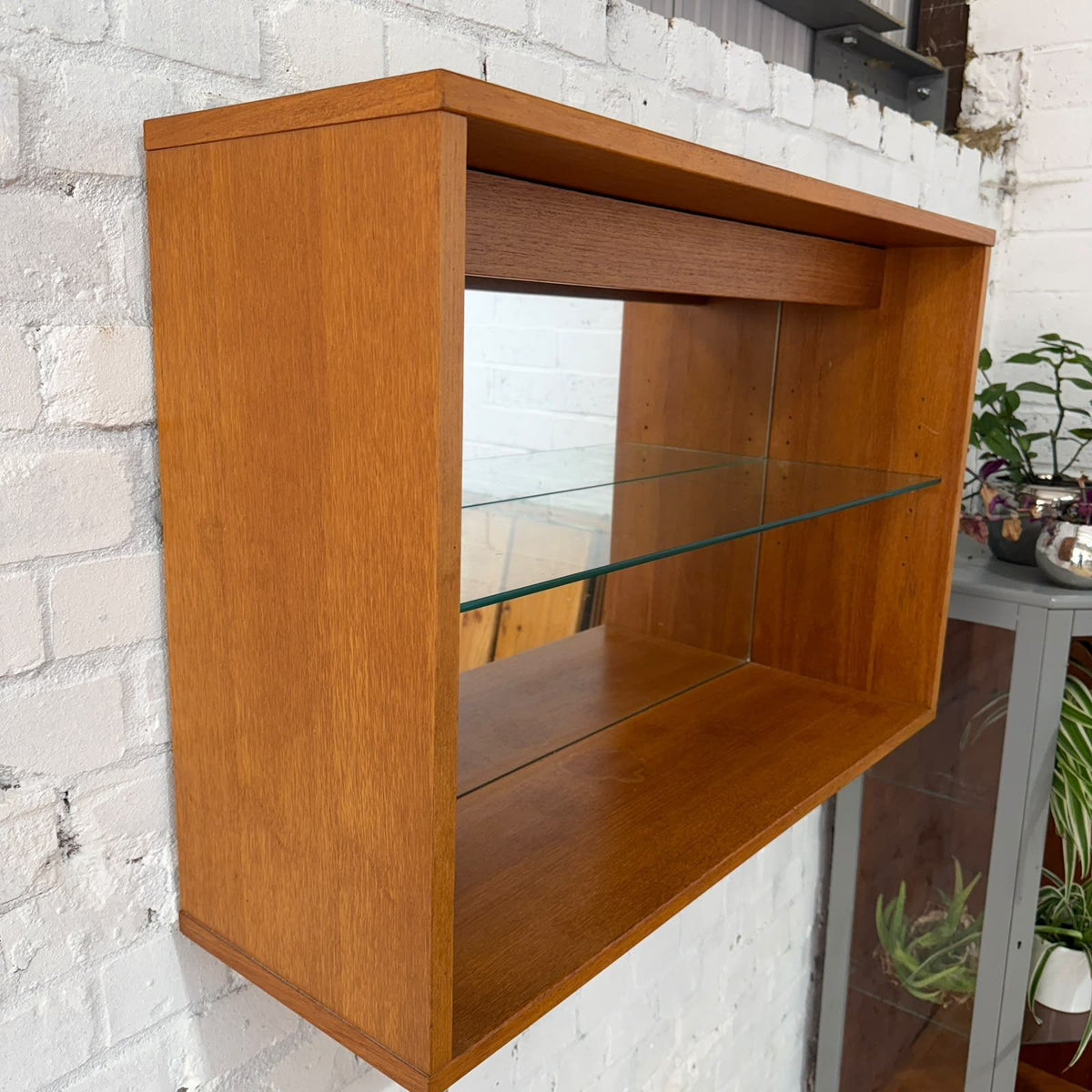 Tapley 33 Floating Wall Mounted Glazed Display Cabinet Glass Shelf Light