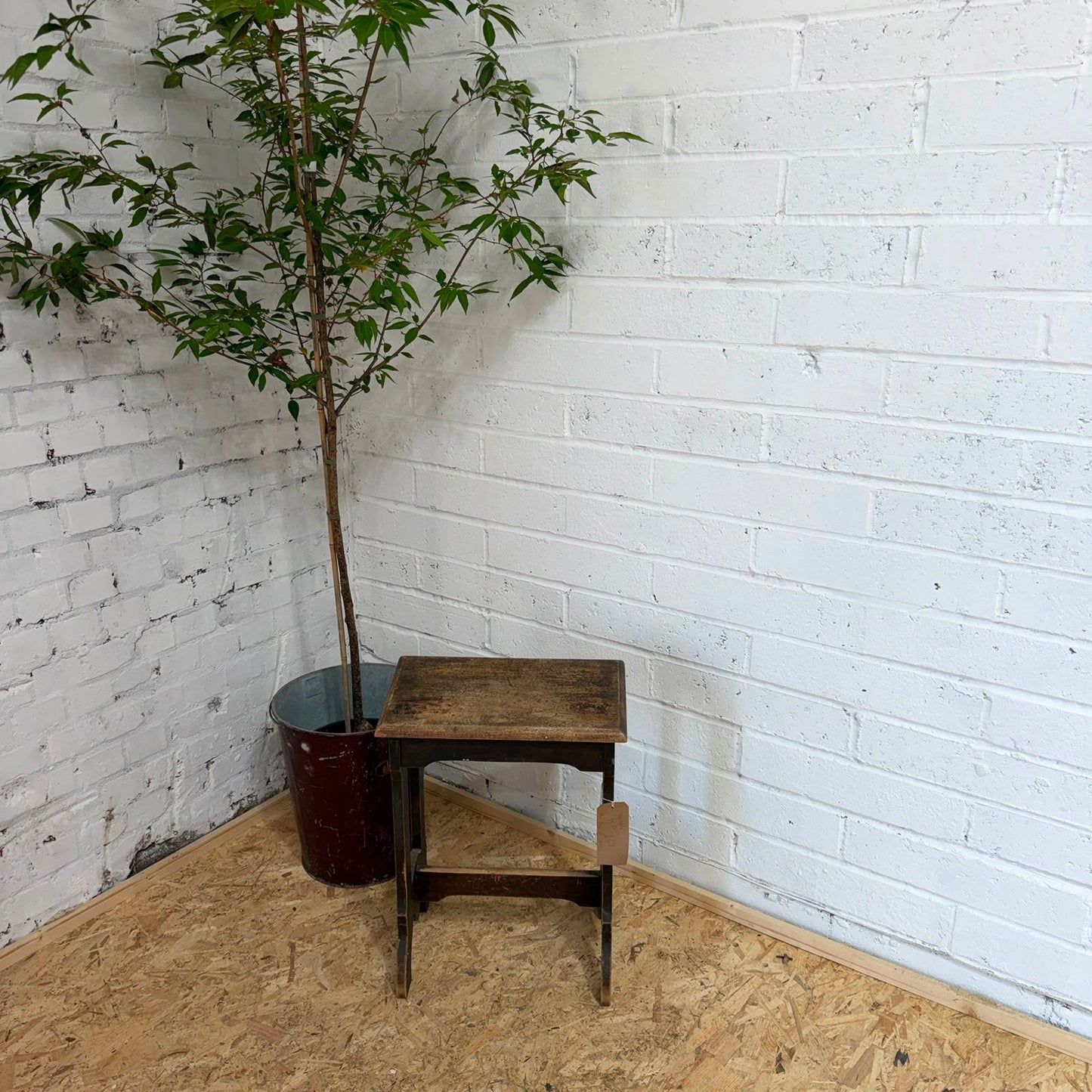 Antique Oak? Prayer Kneeler Stool Angled Top Stretcher Great Patina