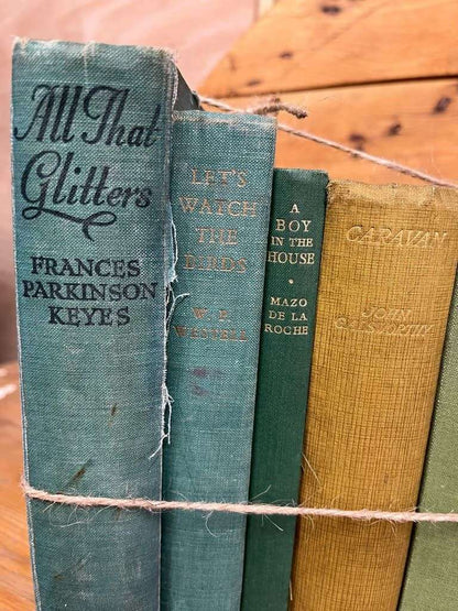 9 Vintage Books Green Shades Covers For Display &amp; Reading Retail Hospitality