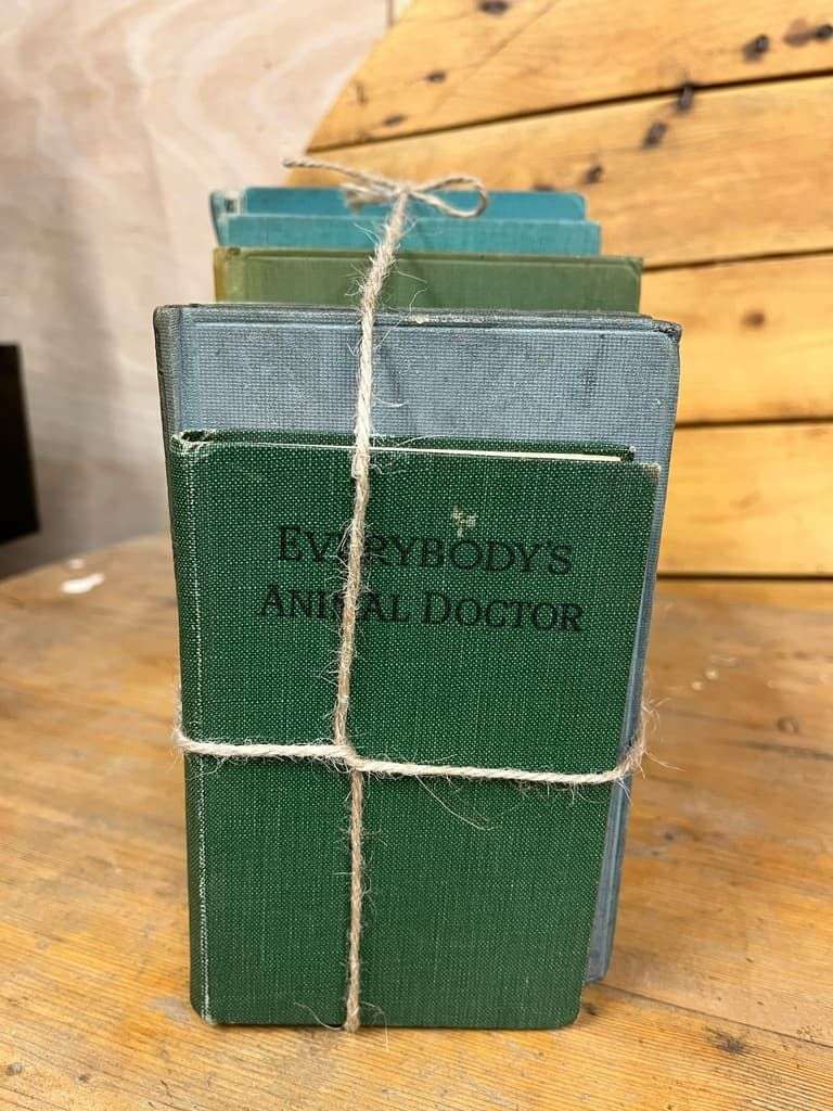 9 Vintage Books Green Shades Covers For Display &amp; Reading Retail Hospitality